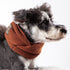 Touchdog Heavy Knitted Designer Fashion Winter Dog Scarf Coffee