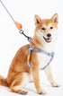 Touchdog ® 'Macaron' 2-in-1 Durable Nylon Dog Harness and Leash  