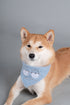 Touchdog ® 'Macaron' 2-in-1 Durable Nylon Dog Harness and Leash