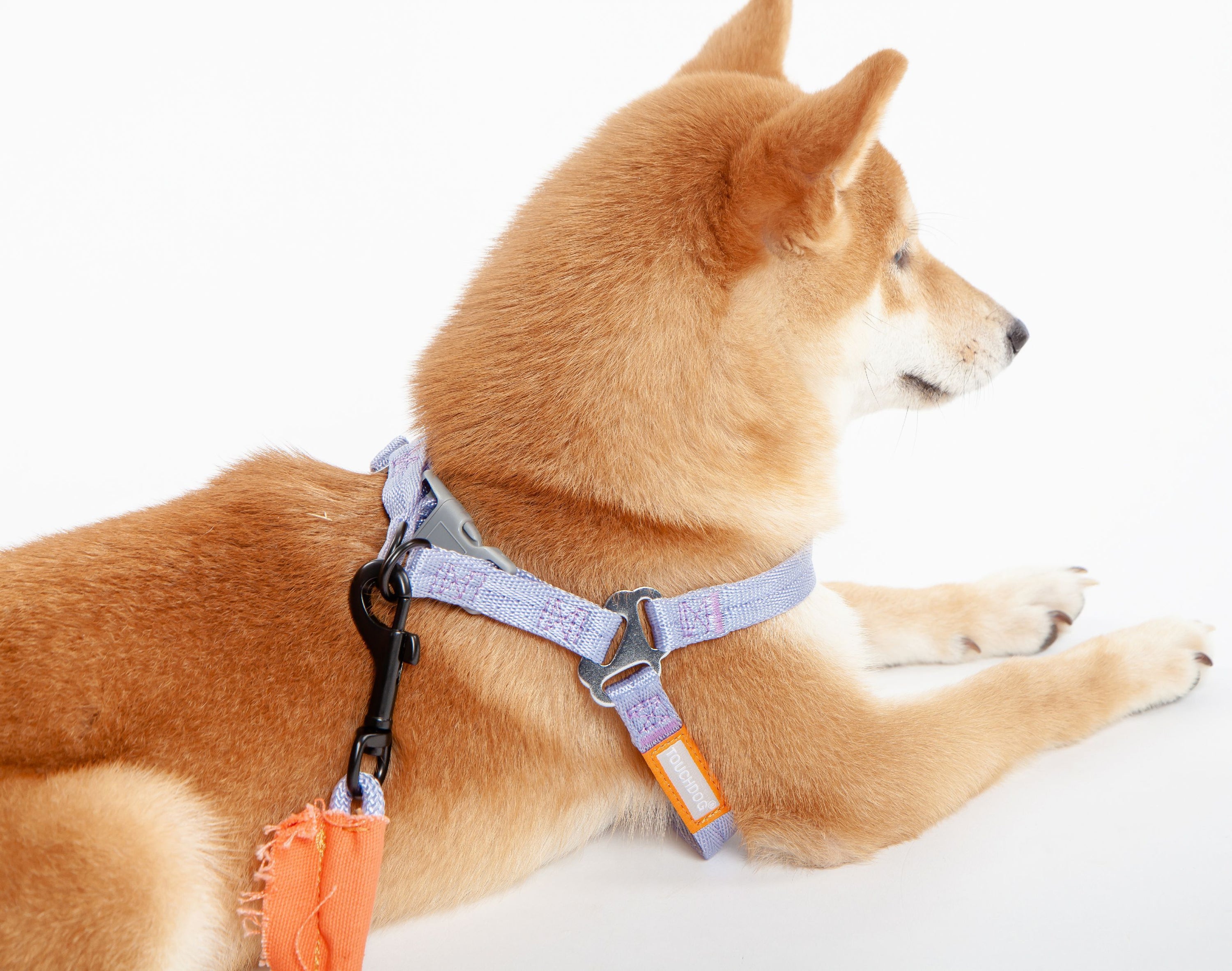 Touchdog ® 'Macaron' 2-in-1 Durable Nylon Dog Harness and Leash  