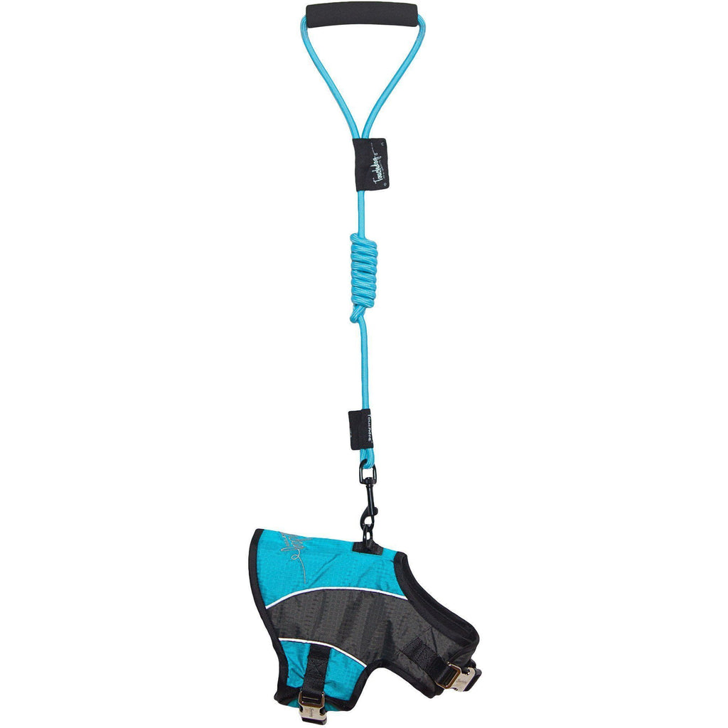 Touchdog ® 'Reflective-Max' 2-in-1 Performance Dog Harness and Leash X-Small Turquoise ...