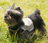 Touchdog ® 'Tough-Boutique' 2-in-1 Adjustable Fashion Dog Harness and Leash