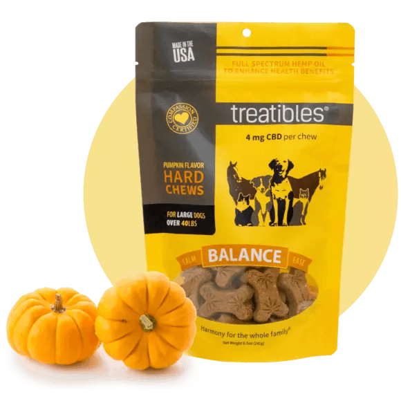 Treatibles Full Size Large Pumpkin Hard Chews 4mg (45 ct) Hard Chew Dog Supplements - 8 oz Bag  