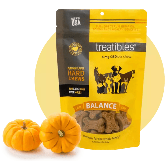 Treatibles Full Size Large Pumpkin Hard Chews 4mg (45 ct) Hard Chew Dog Supplements - 8 oz Bag