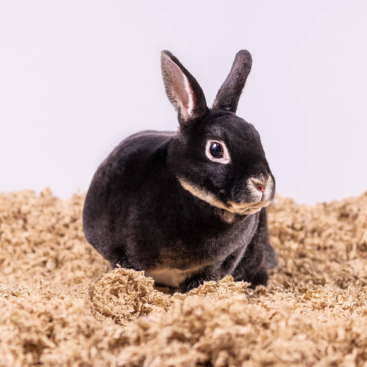 Uber Soft Paper Pet Bedding - Natural - 56 L