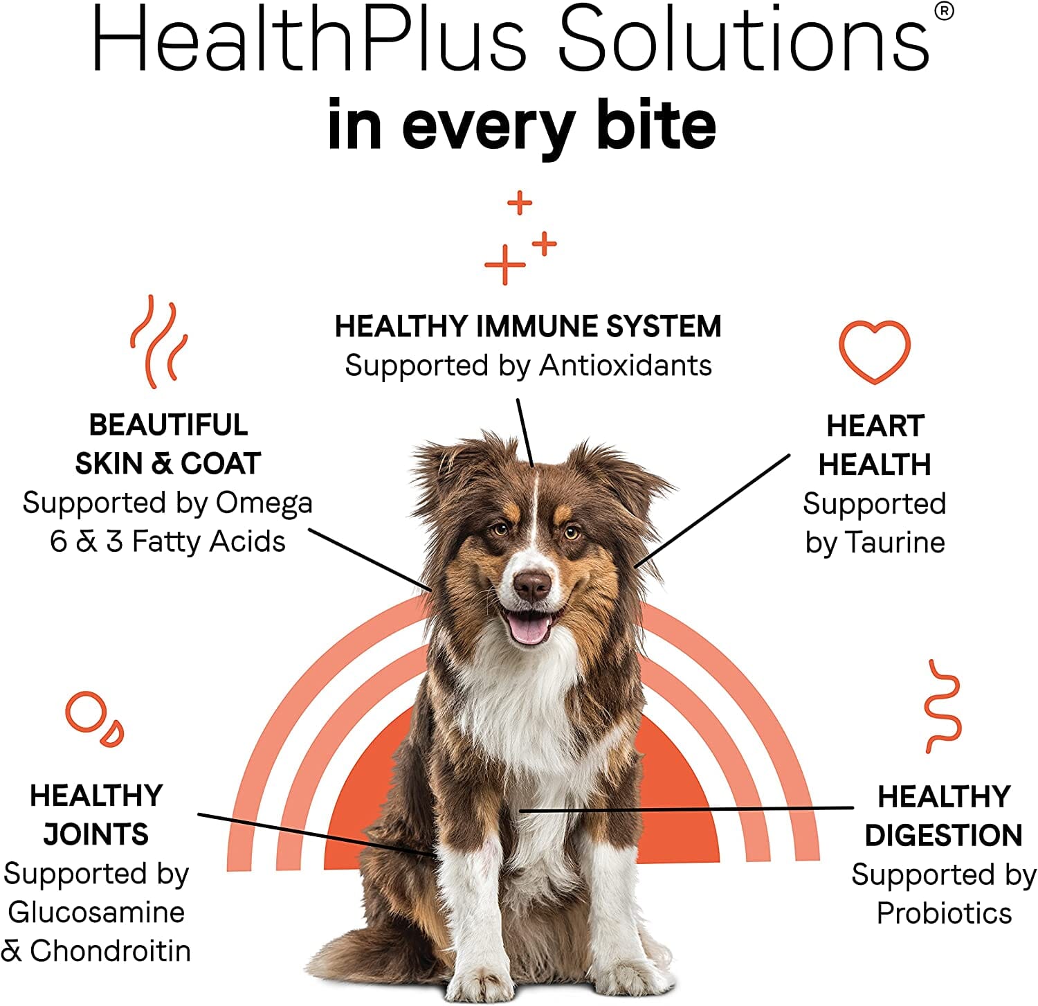 Under The Sun Grain-Free Dry Dog Food - Lamb - 23.5 Lbs