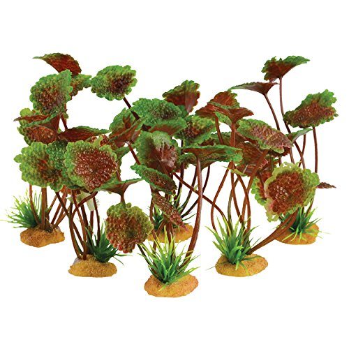 Underwater Treasures 4 Grounder Purple Cardamine - 3.5" - 6 pk