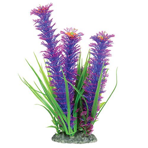Underwater Treasures Ambulia - Violet - 10"