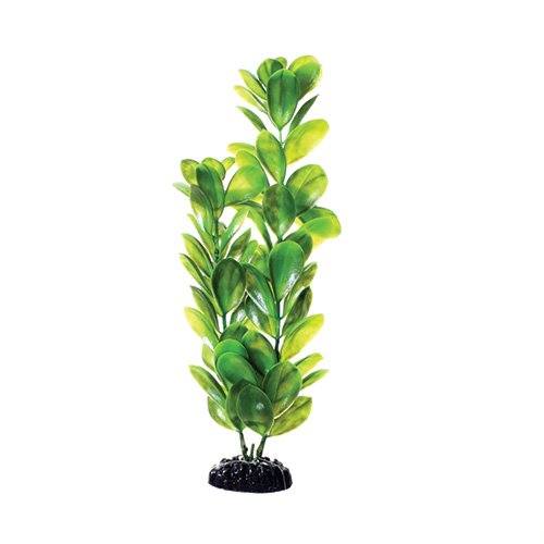 Underwater Treasures Green Bacopa - 12