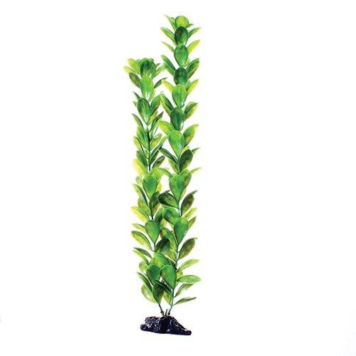 Underwater Treasures Green Bacopa - 20"