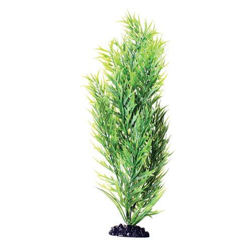 Underwater Treasures Green Bamboo - 16"