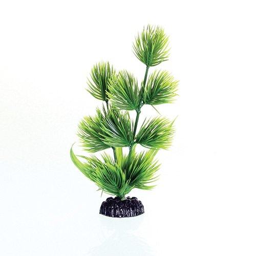 Underwater Treasures Green Conifer - 8"
