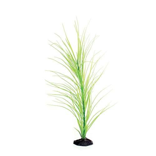 Underwater Treasures Green Hairgrass - 20"