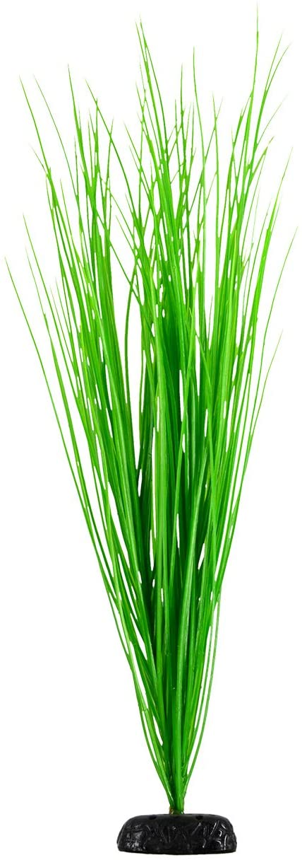 Underwater Treasures Green Hairgrass - 24"