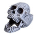 Underwater Treasures Laughing Skull