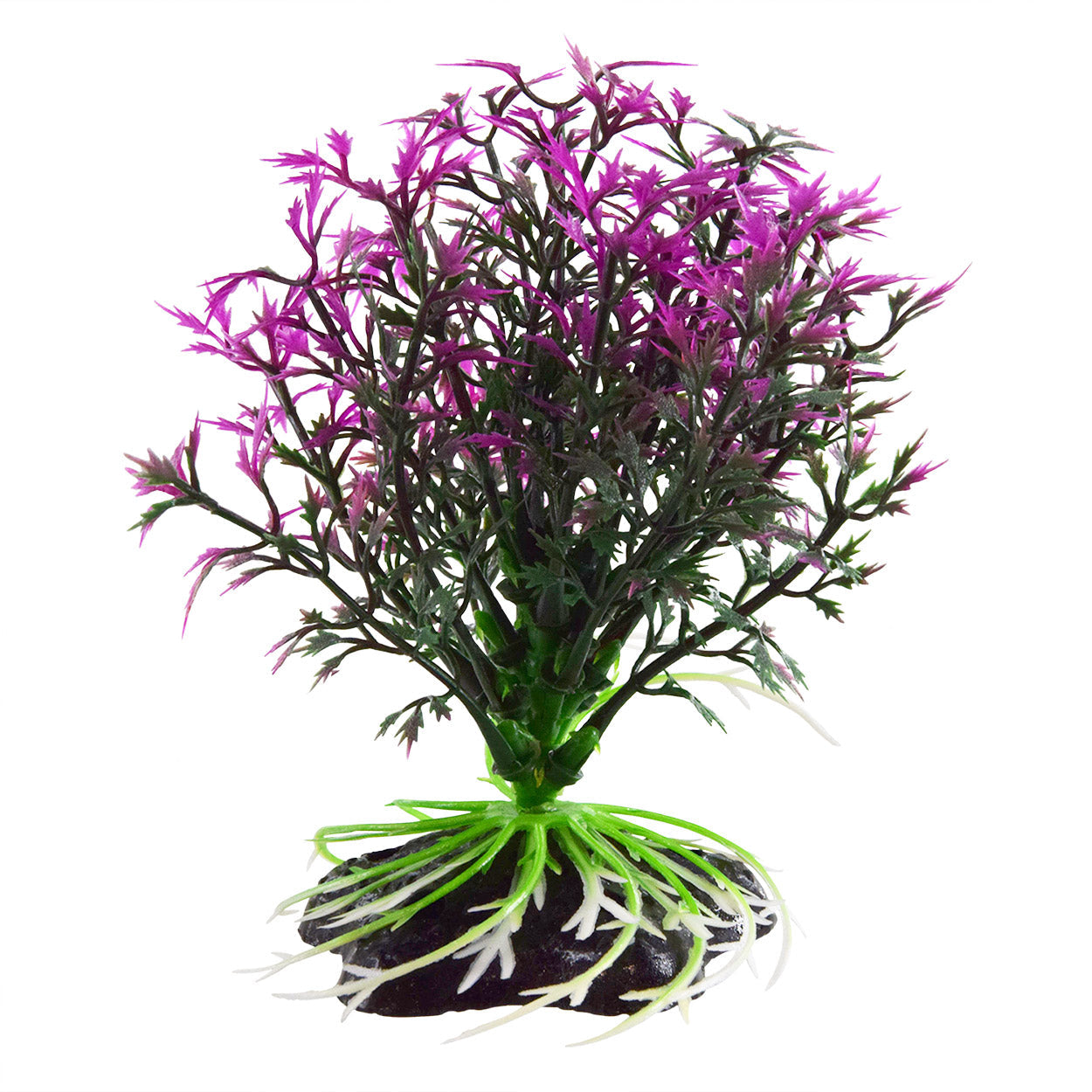 Underwater Treasures Lavender Ball Plant
