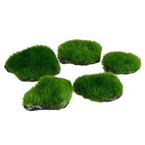 Underwater Treasures Mini Moss Rock - 5 Pk