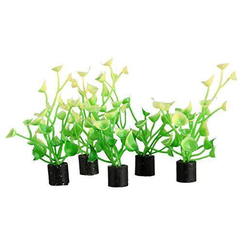 Underwater Treasures Mini Plant - Baby Tear - 2.5" - 5 pk
