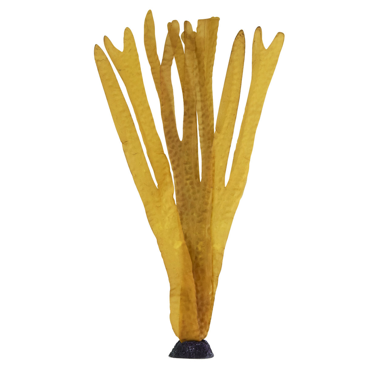 Underwater Treasures Ocean Kelp - Brown