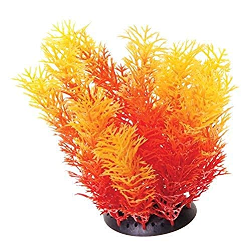 Underwater Treasures Orange Cabomba - 6"