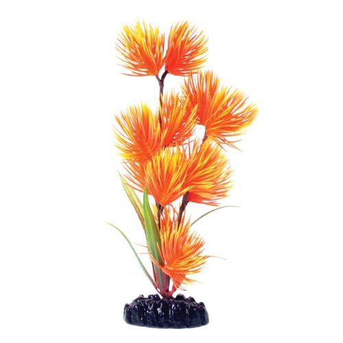 Underwater Treasures Orange/Yellow Conifer - 8"