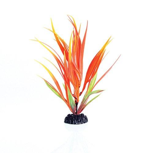 Underwater Treasures Orange/Yellow Flame - 8"