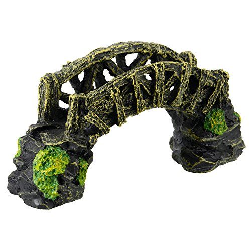 Underwater Treasures Peace Bridge