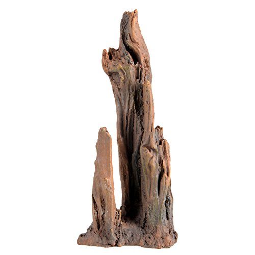 Underwater Treasures Petrified Wood - Small