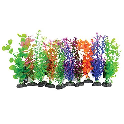 Underwater Treasures Plant on Rock Mixed - Medium - 10 pk