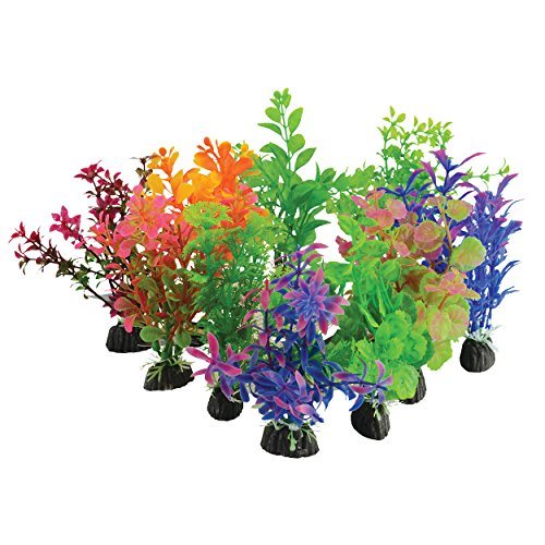 Underwater Treasures Plant on Rock Mixed - Small - 10 pk