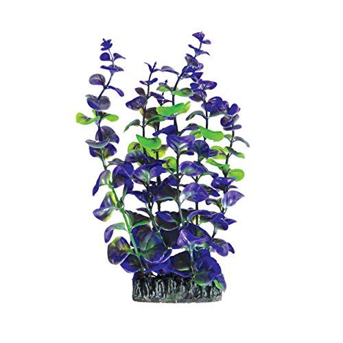 Underwater Treasures Purple Paradise - 8"