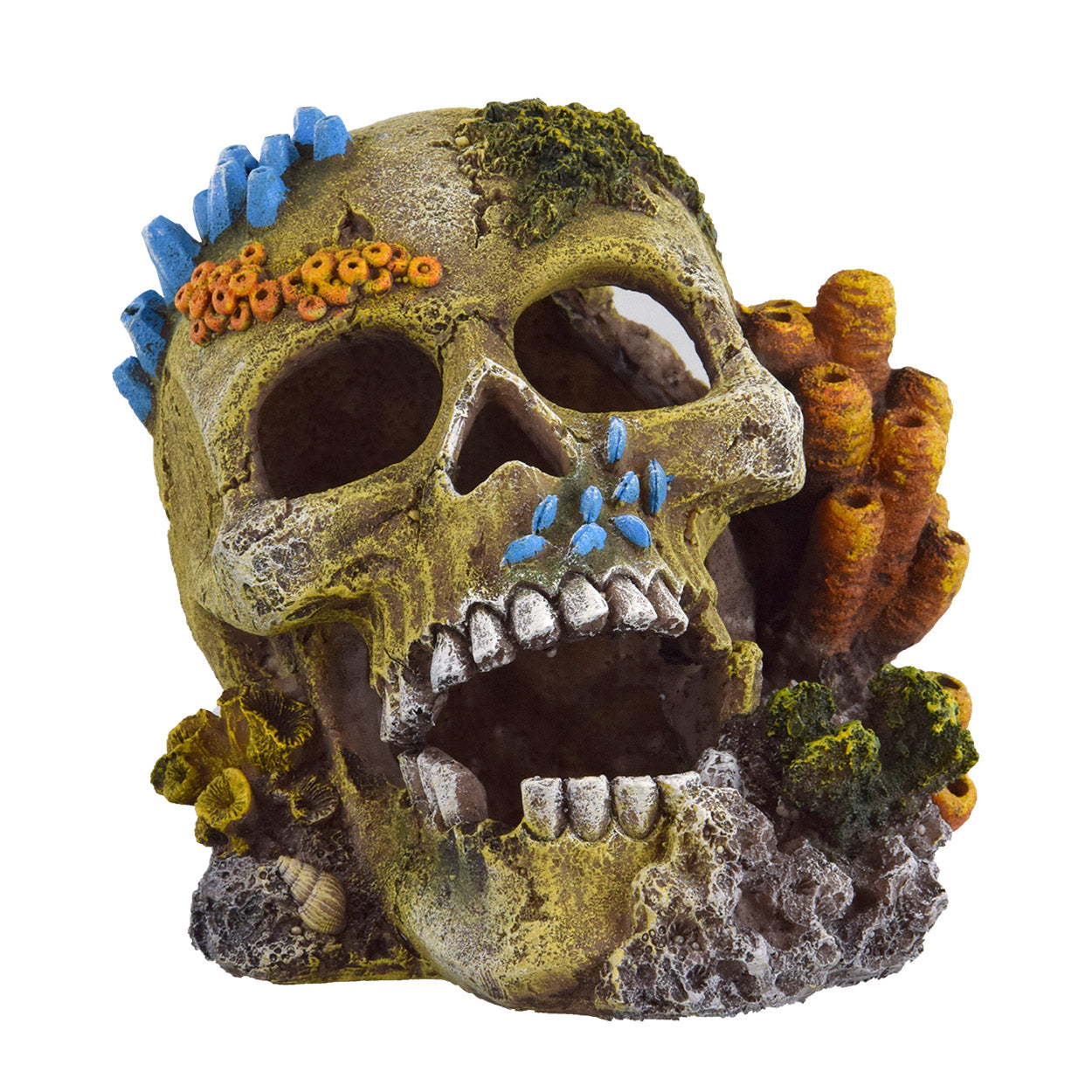 Underwater Treasures Reef Skull
