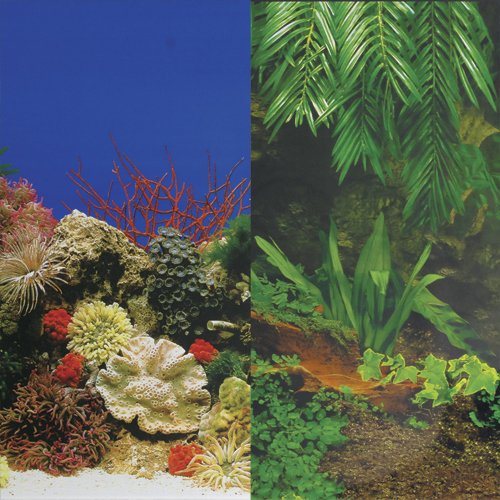 Underwater Treasures Sea Floor/Creeping Vines Reversible Background - 24" - Sold by the Foot - 50 Feet