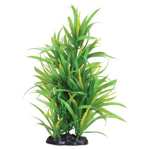 Underwater Treasures Sunfire Passion - 12"