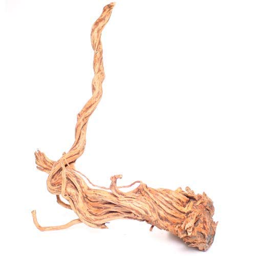 Underwater Treasures Terrarium Wood Root