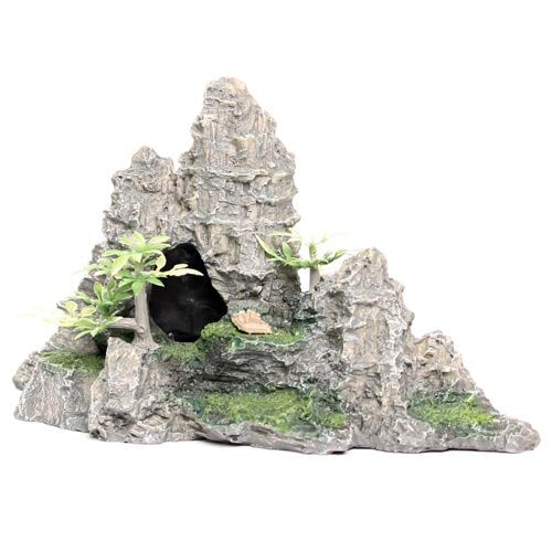 Underwater Treasures Two Cave Mountain