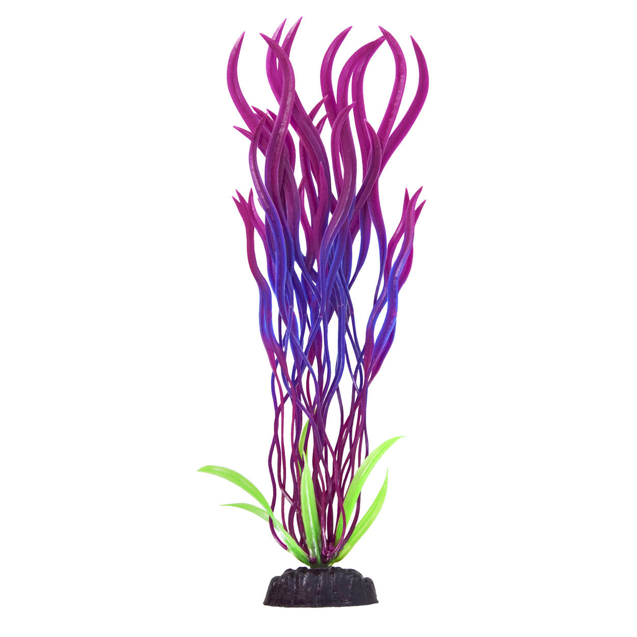 Underwater Treasures Wave Val - Purple/Red - 12"