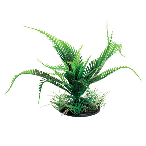 Underwater Treasures Weeping Fern - Green - 6"