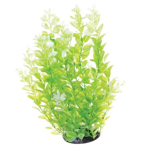 Underwater Treasures White Tipped Cardamine - 12"