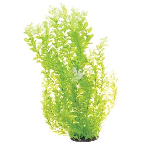 Underwater Treasures White Tipped Cardamine - 24"