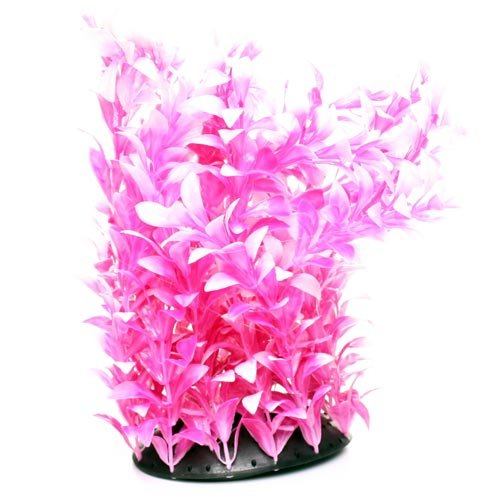 Underwater Treasures White Tipped Ludwigia - 12"