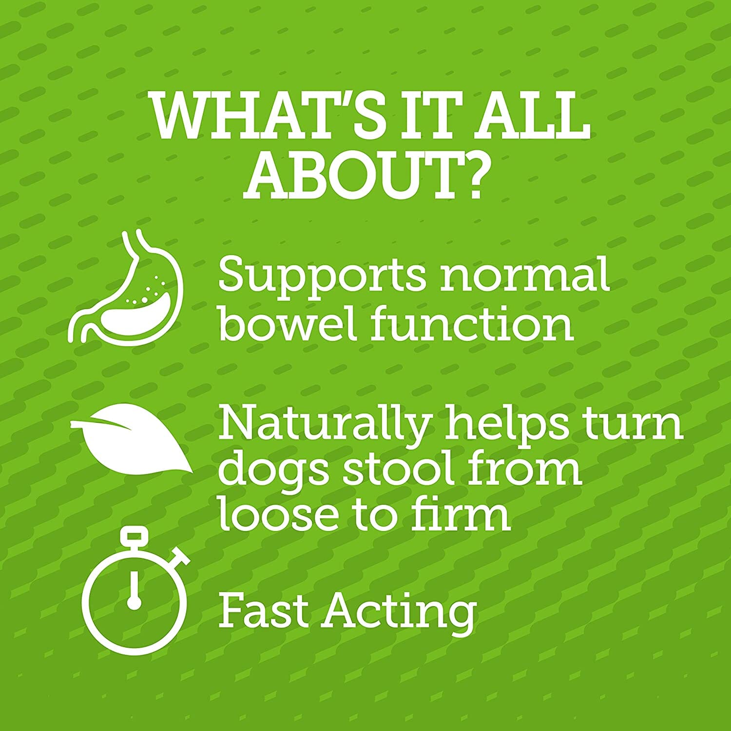 Vetality Stop The Runs Chewables for Dogs - 6 Count