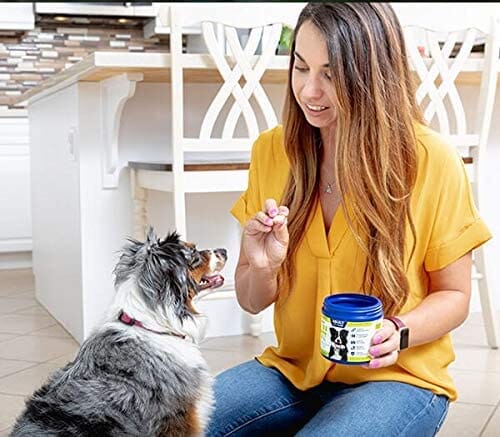 Vetericyn All In Adult Dog Supplements - 90 Count