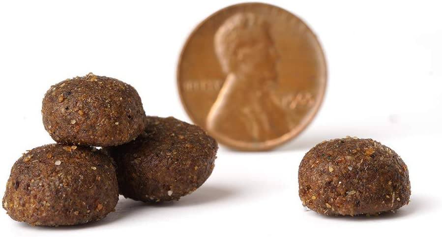 Victor High Energy Formula Dry Dog Food - 5 lb Bag