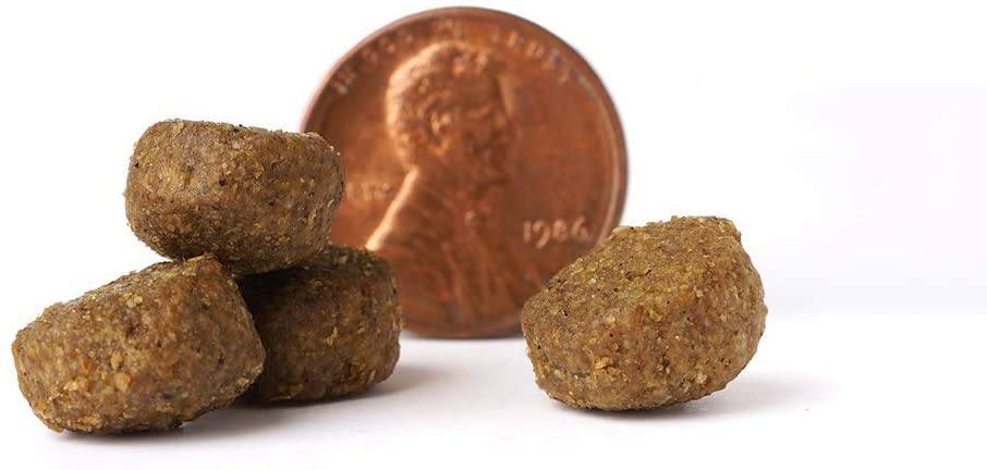 Victor Select Oceanfish Formula Dry Dog Food - 40 lb Bag