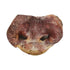 Vital Essentials Pig Snouts Freeze-Dried Dog Treats - 14 Piece - 1.4 Lbs  