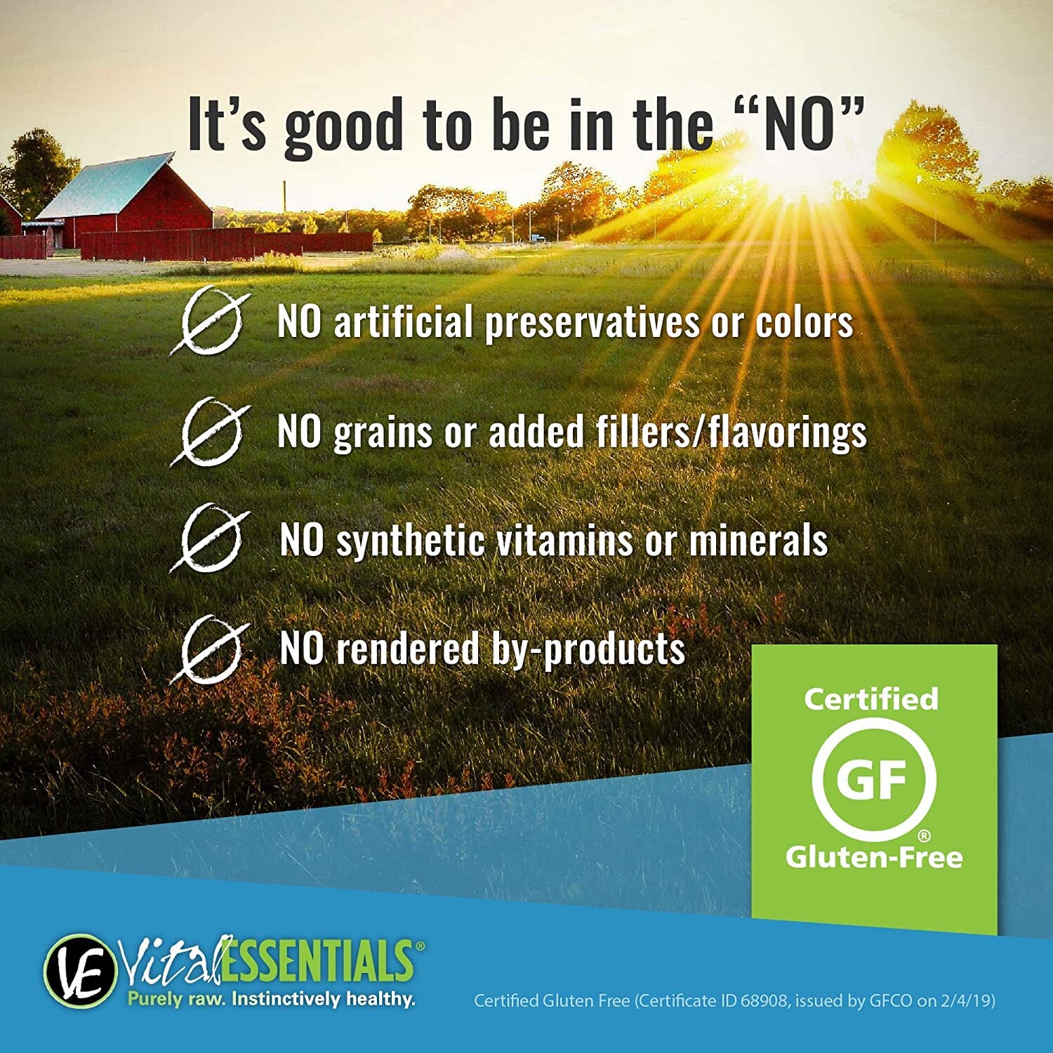 Vital Essentials Wild Alaskan Salmon Freeze Dried Cat Treats - 1.1 Oz