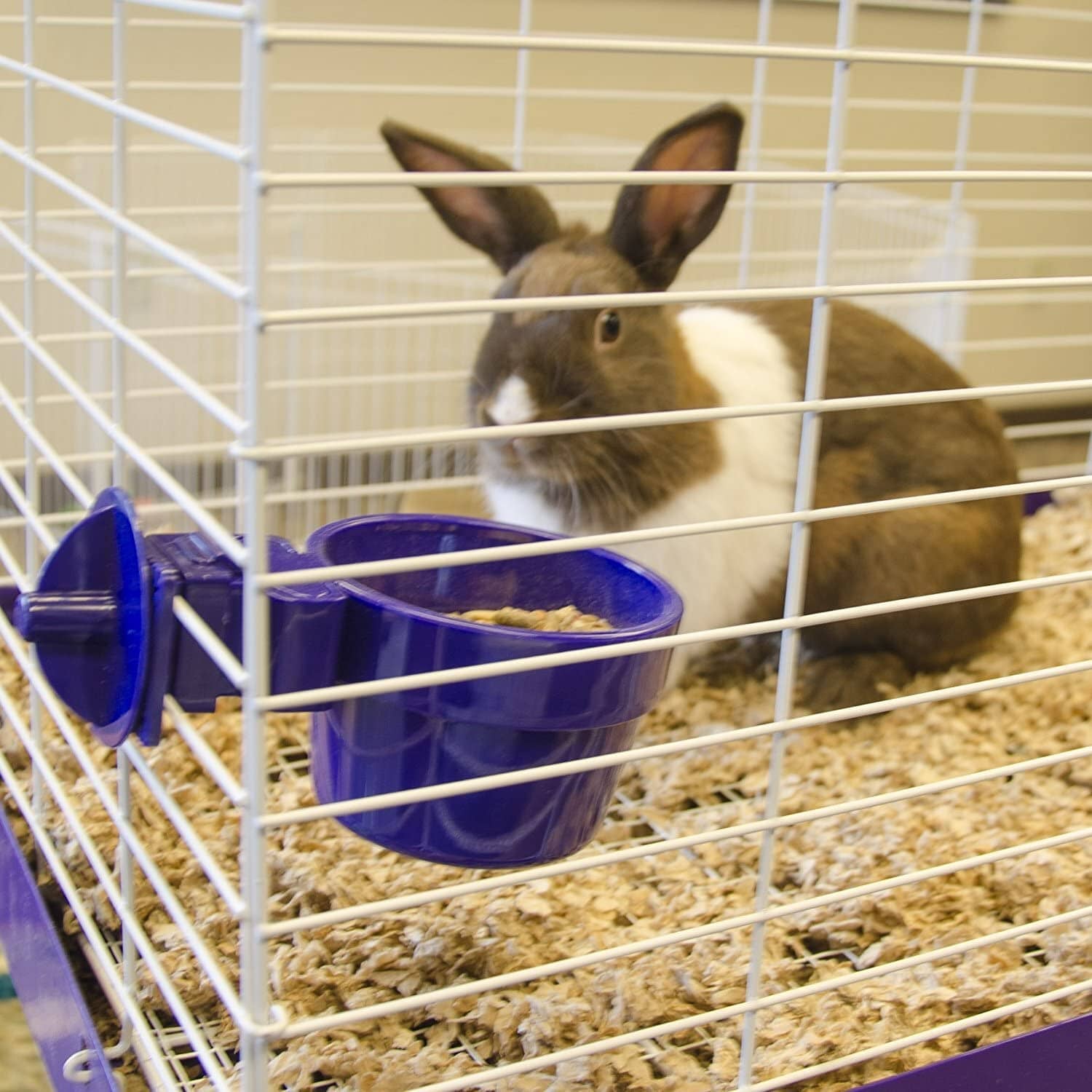 Ware Slide-N-Lock Pet Crock Small Animal Feeding Dish - 10 Oz