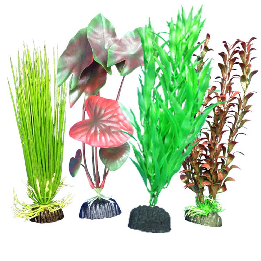 Weco Products Freshwater Aquarium Plant 101 Assorted - Multipack