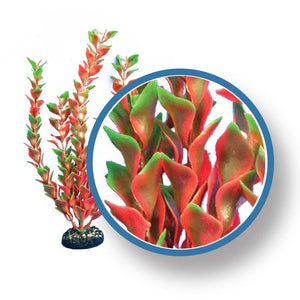 Weco Products Freshwater Pro Series Ludwigia Aquarium Plant - Red - 24 in